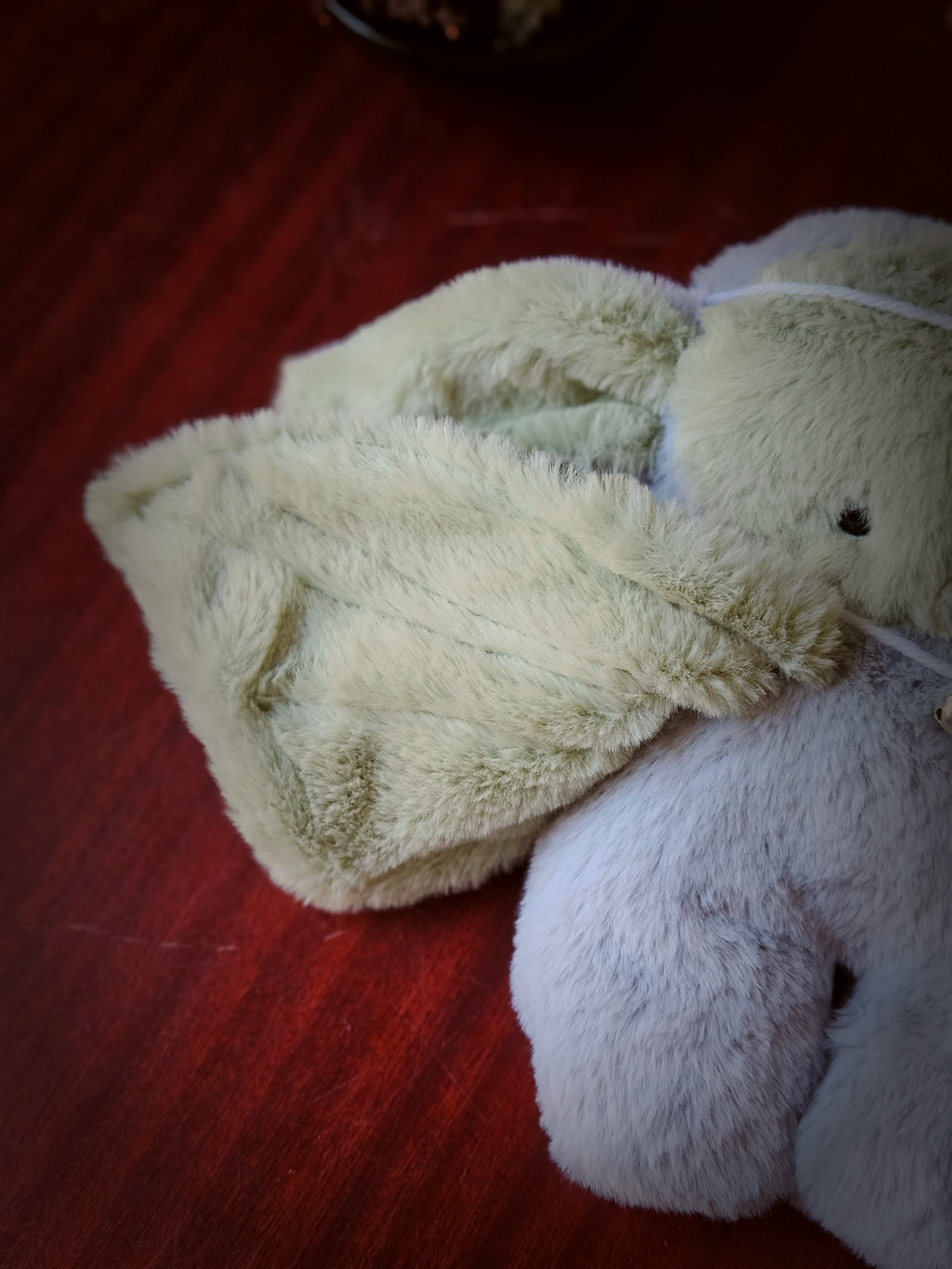 Novice Guardian of Pebbles and Gems