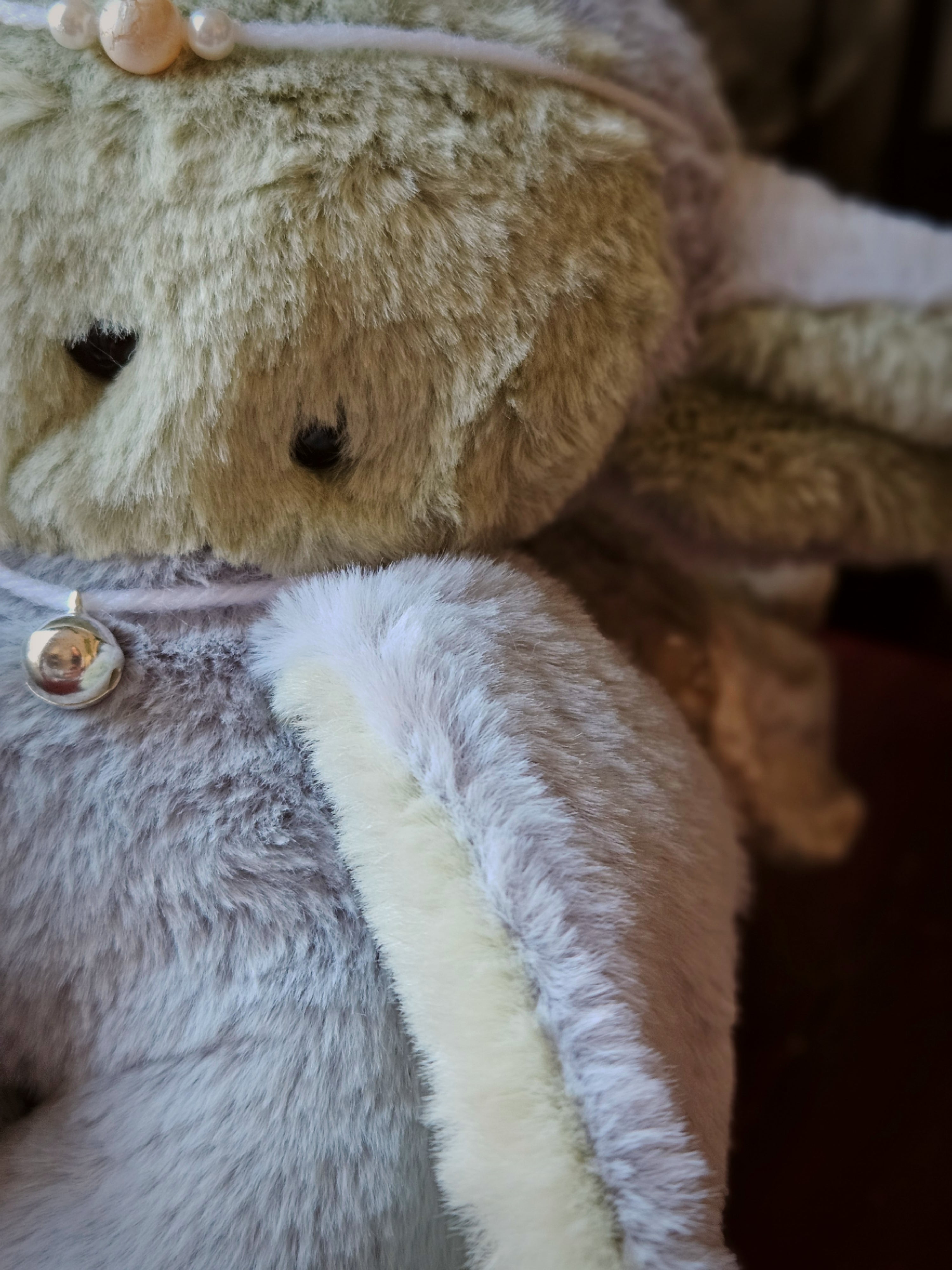 Novice Guardian of Pebbles and Gems