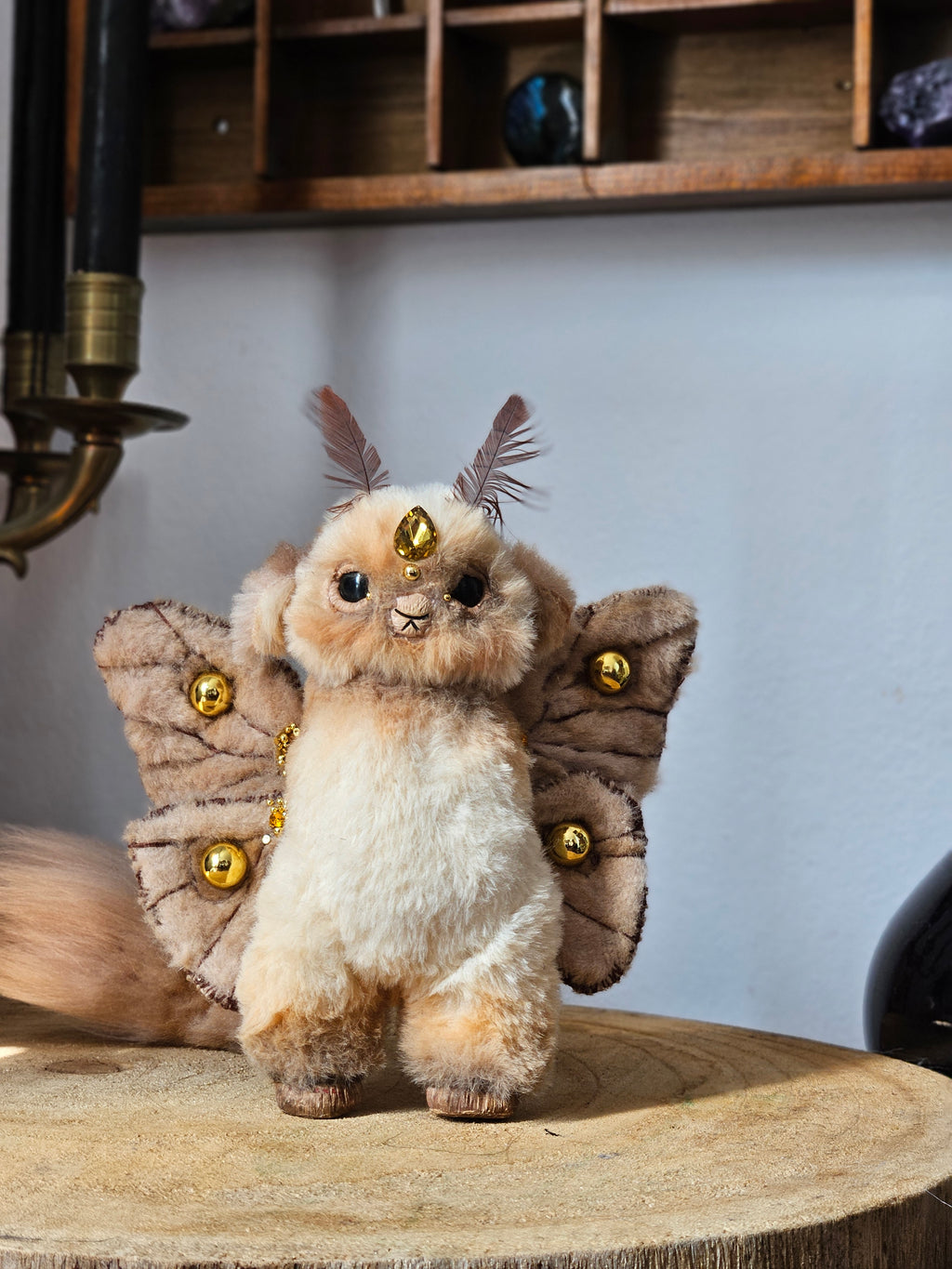 Novice Guardian of the Emperor Moth