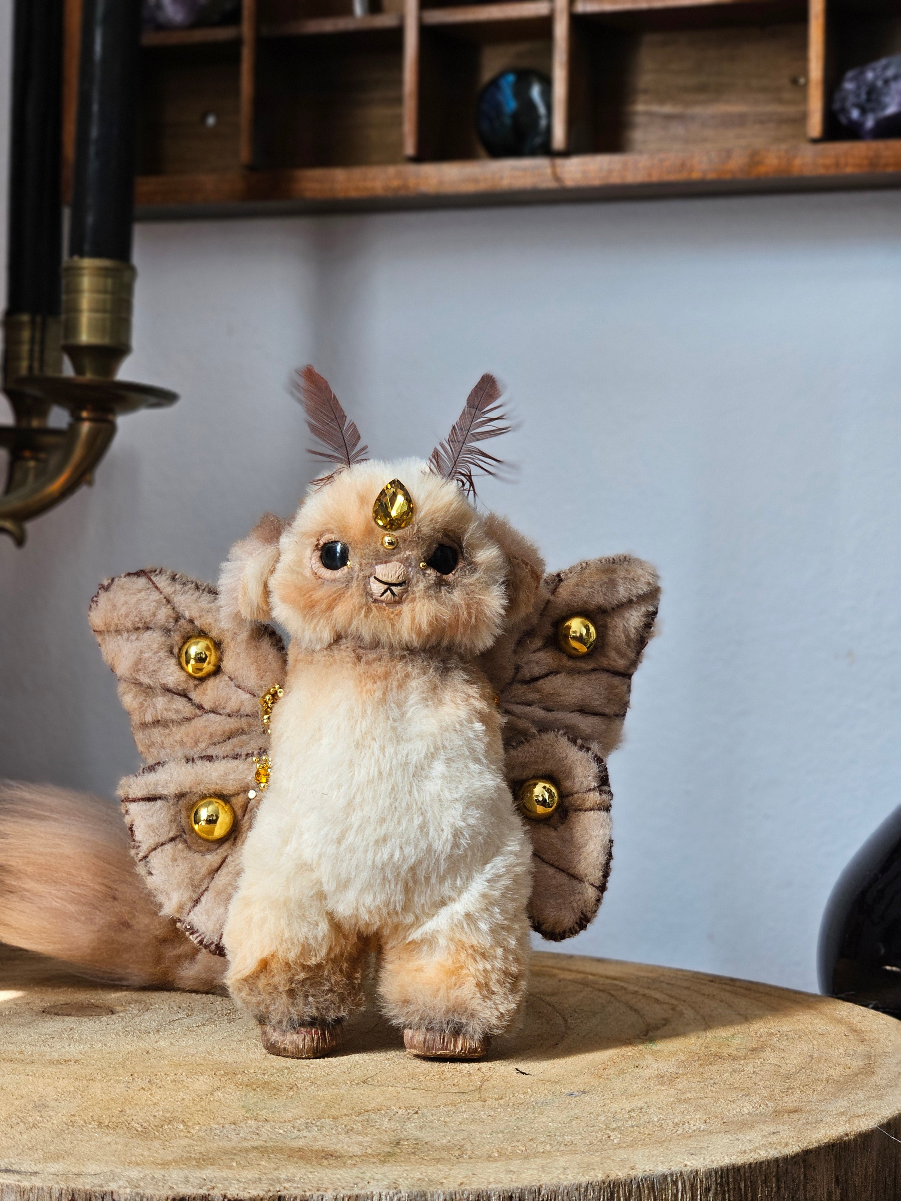 Novice Guardian of the Emperor Moth