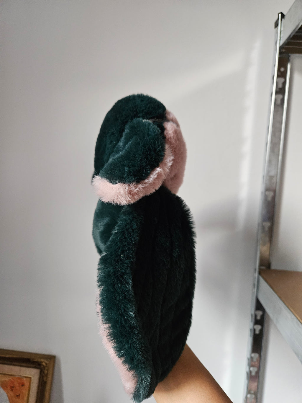 Virel, the inexperienced guardian of medicinal herbs