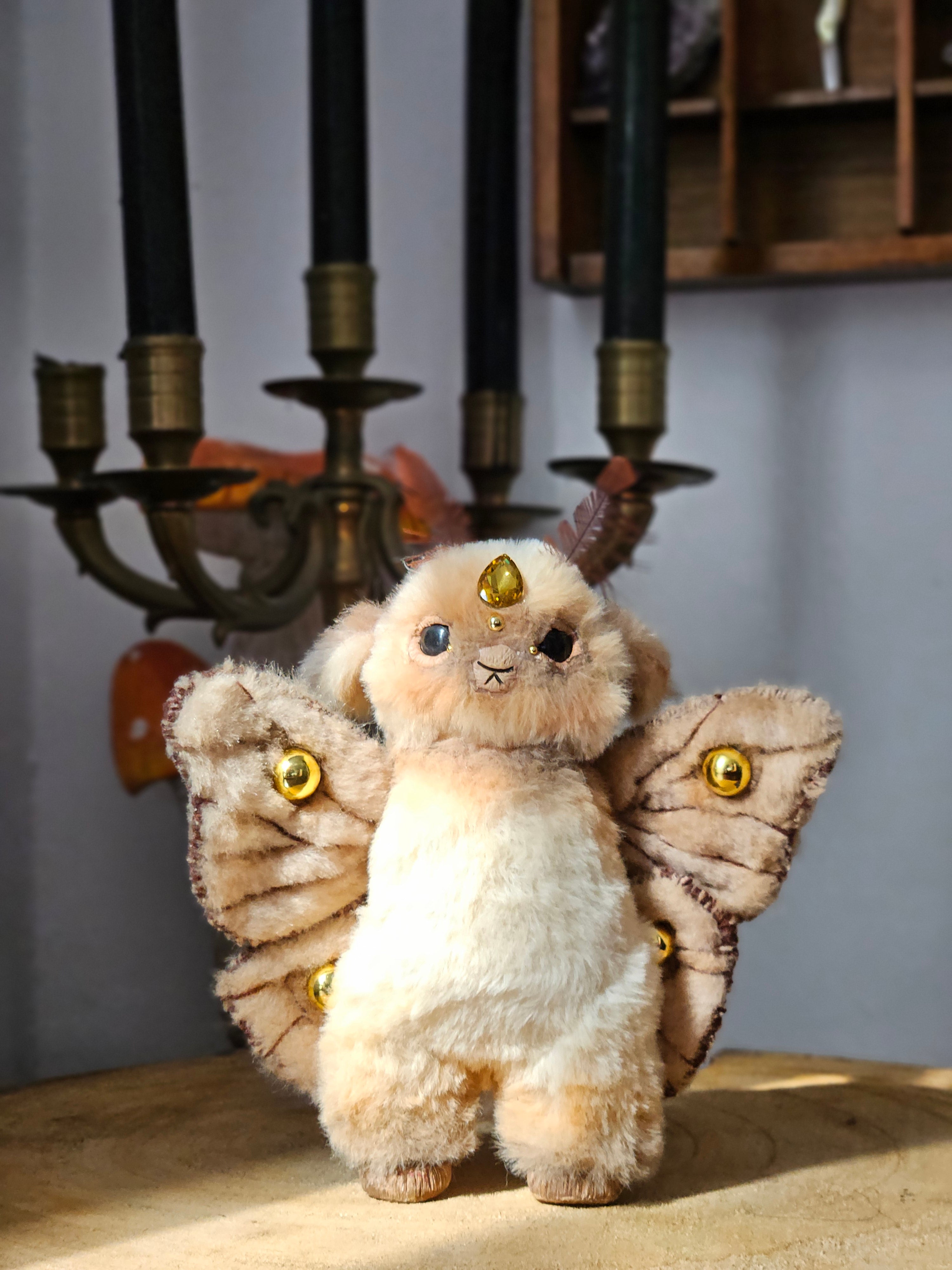 Novice Guardian of the Emperor Moth