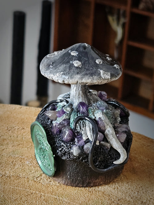 Bewitched Mushroom