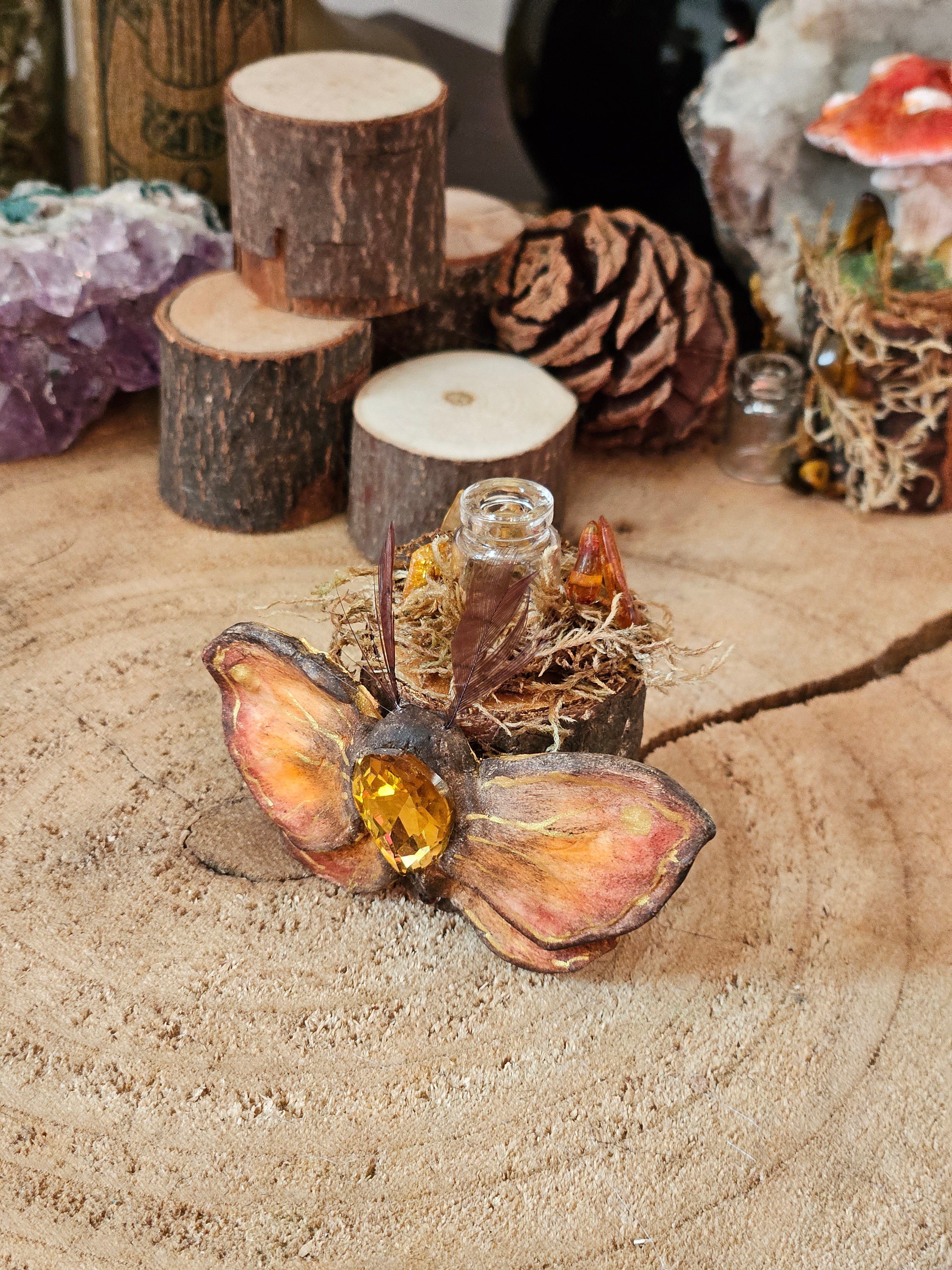 Amber Moth
