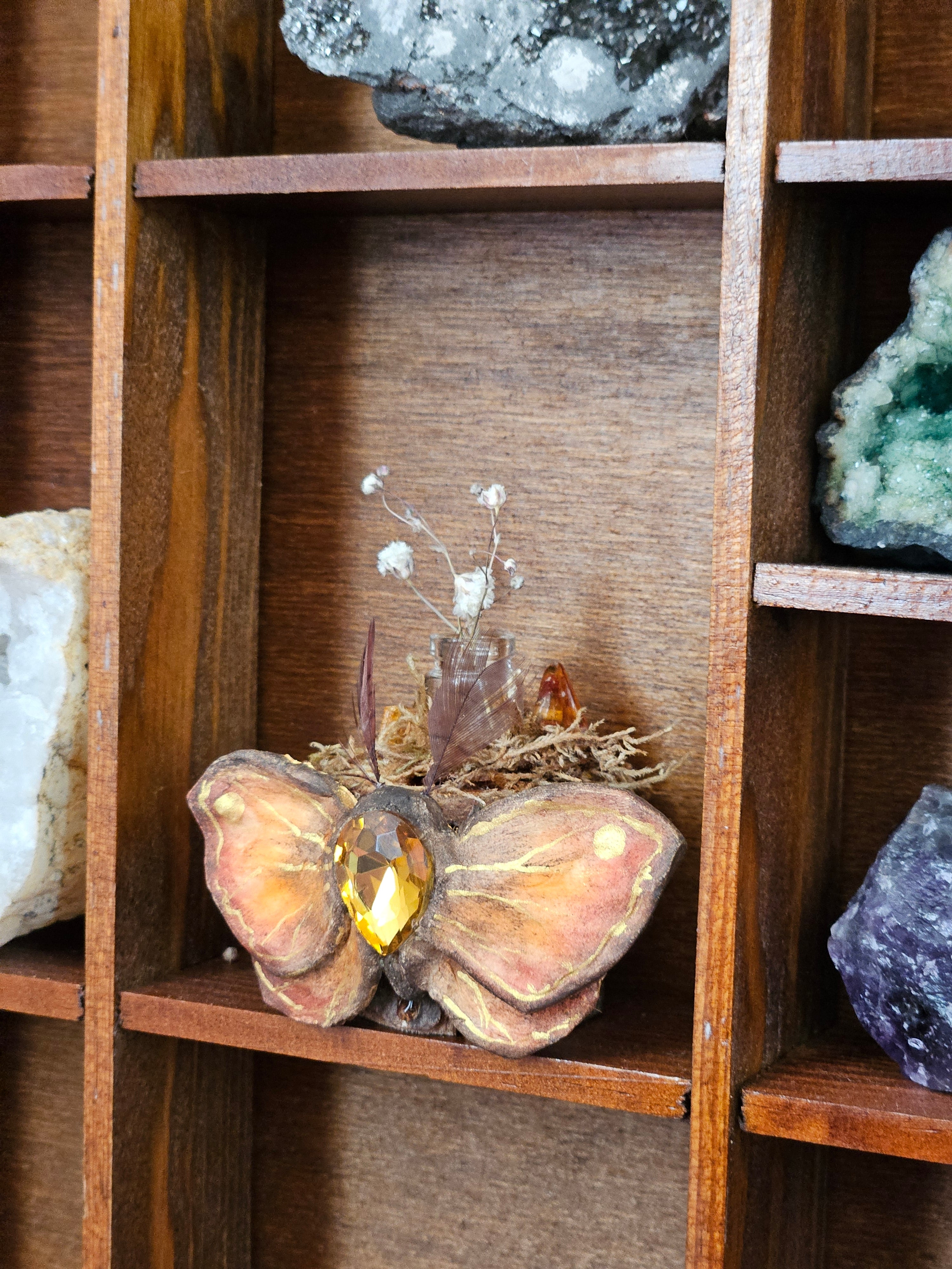 Amber Moth