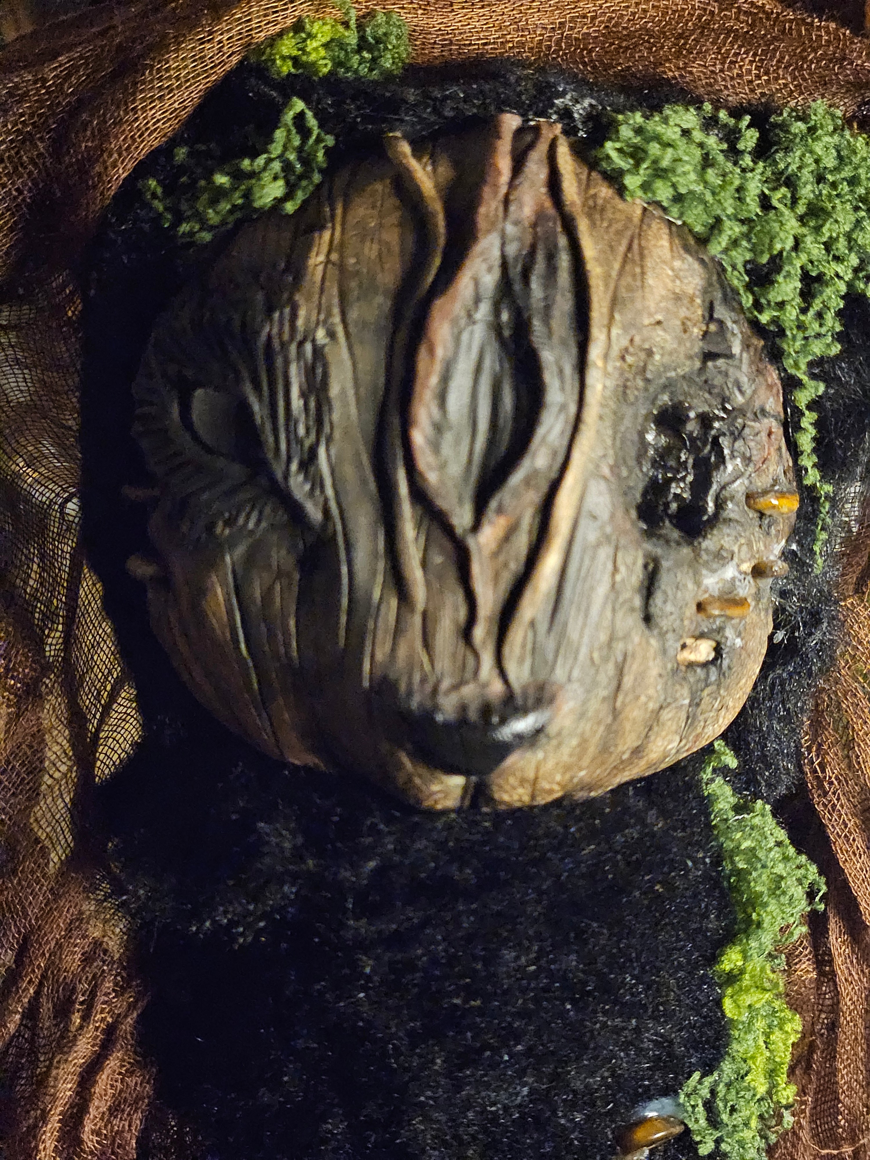 Lost Forest Guardian
