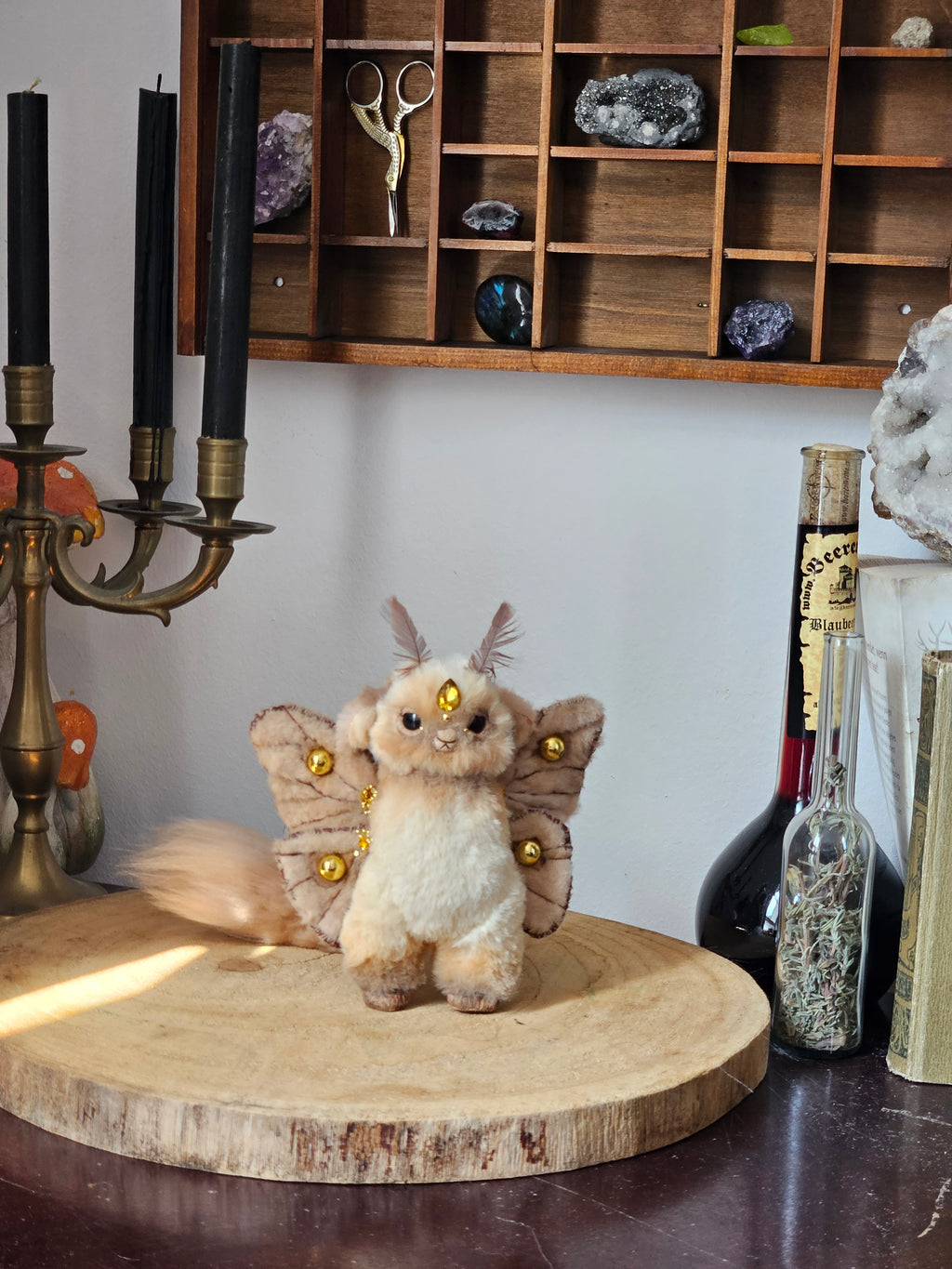 Novice Guardian of the Emperor Moth
