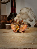 Amber Moth