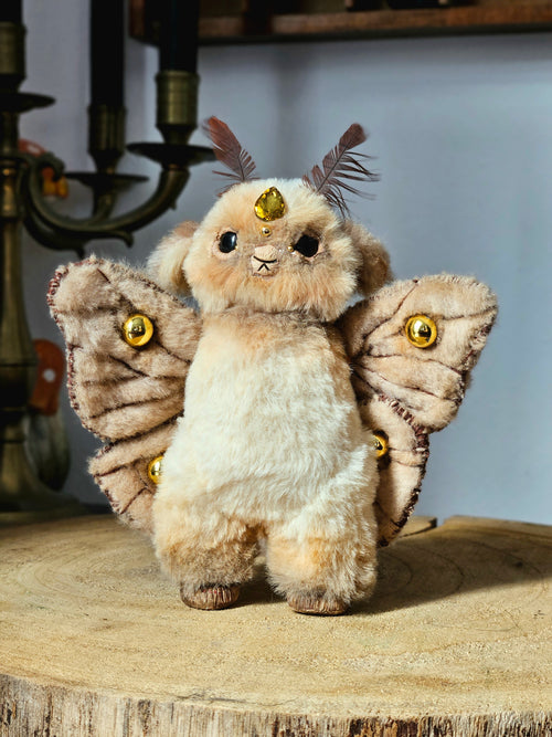 Novice Guardian of the Emperor Moth